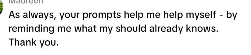 Audience comment: As always, your prompts help me help myself. Thank you.